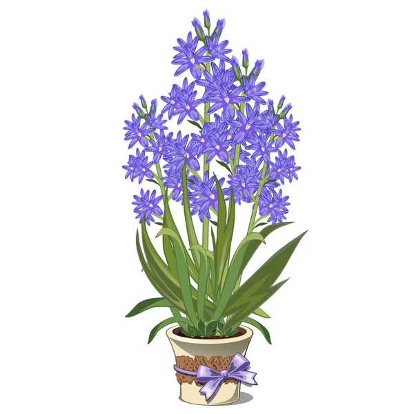 ガラスの花瓶の青いユリの花束 — ストックベクタ