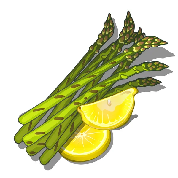 Pęczek szparagów z cytryną, warzywa wektor — Wektor stockowy