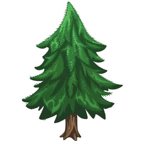 Coniferous pine tree, Christmas symbol — ストックベクタ