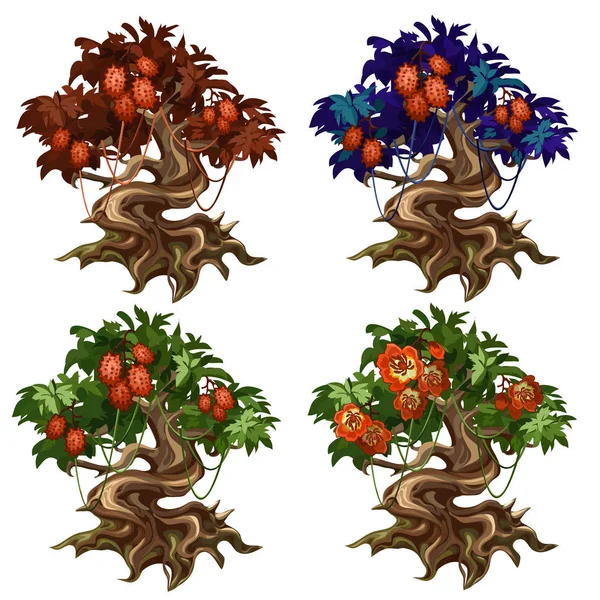 Magische Bäume mit ungewöhnlichen Früchten und Blumen — Stockvektor