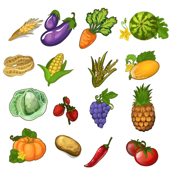 Grande insieme vettoriale di verdure, bacche e frutta — Vettoriale Stock