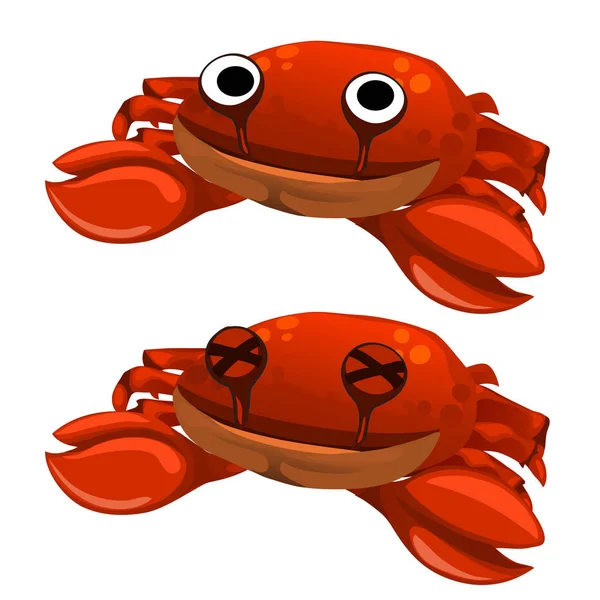 Funny cute soft toy red crab isolated. Vector — Stock Vector