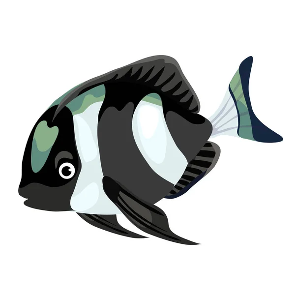 Peixe tropical listrado preto e branco isolado — Vetor de Stock