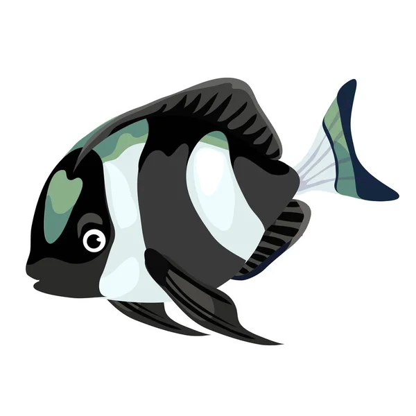 Peces tropicales de rayas blancas y negras aislados — Vector de stock