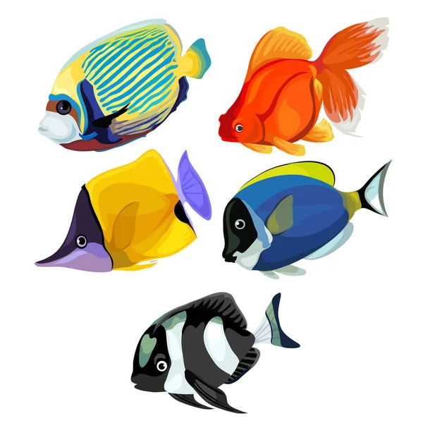 Colección de peces tropicales de colores aislados — Vector de stock