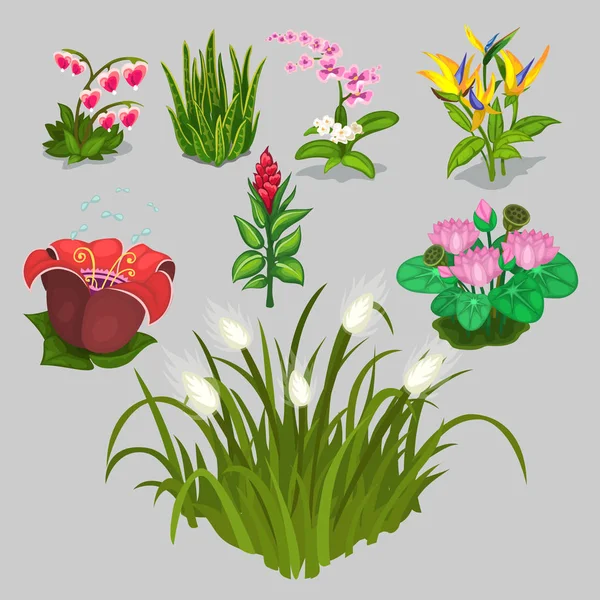 Big vector collection of different flowers — Stock Vector