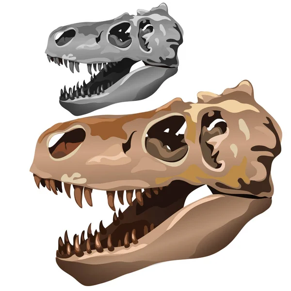 Desenho De Paleontologia De Esqueleto De Dinossauro Fóssil PNG , Antigo,  Dinossauro, Esqueleto Imagem PNG e Vetor Para Download Gratuito