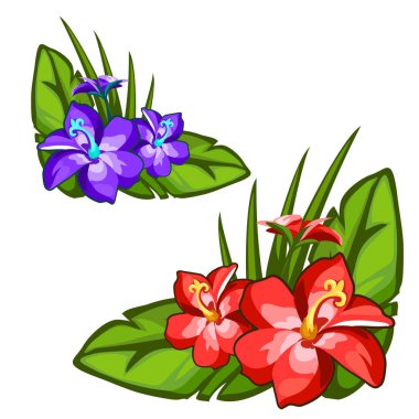 Yeşil yaprakları kırmızı ve mavi güzel çiçek