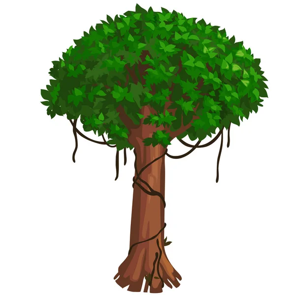 Árbol tropical alto con frondoso follaje verde. Vector — Vector de stock