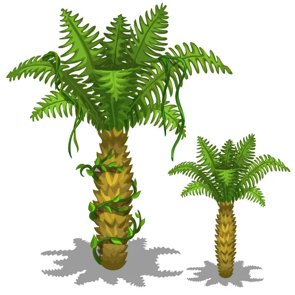 Beyaz bir arka plan üzerinde ananas palmiye ağacı. Vektör — Stok Vektör