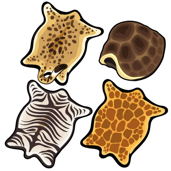 Pele de xebra, chita, leopardo e tartaruga shell —  Vetores de Stock