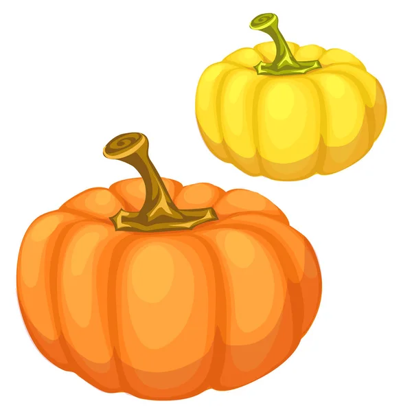 Yellow and orange pumpkin on a white background — Stock Vector