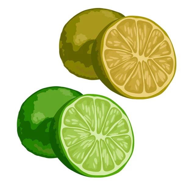 Verde inteiro e meio limão sobre fundo branco — Vetor de Stock