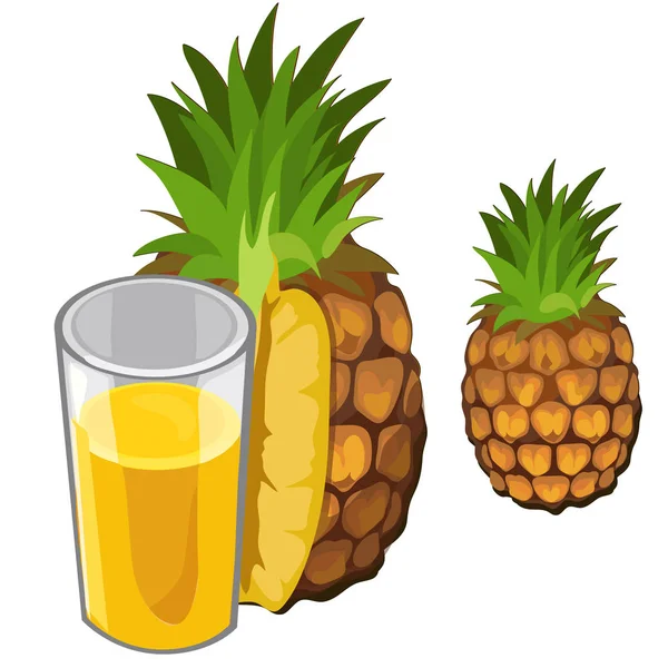 Ananas suyu ve meyve. İzole vektör içecekler — Stok Vektör