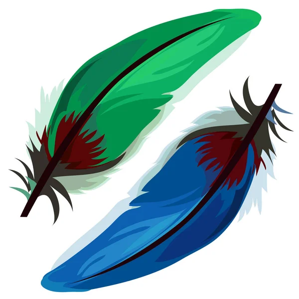 Синее и зеленое птичье перо на белом фоне — стоковый вектор