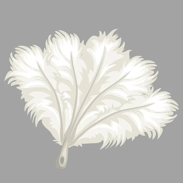 Eventail en plumes blanches, illustration vectorielle — Image vectorielle