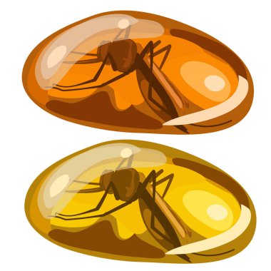 Ancient insect fly frozen in amber, rare stone clipart
