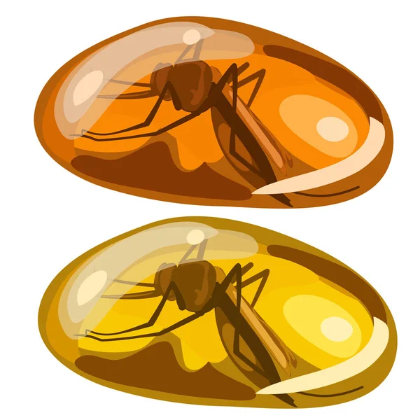 Ancient insect fly frozen in amber, rare stone — Stock Vector