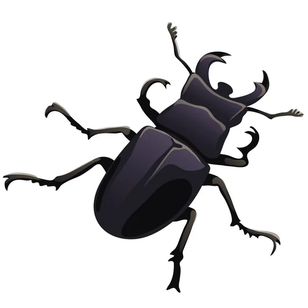 Black beetle stag on a white backgroun. Vector — Stock Vector