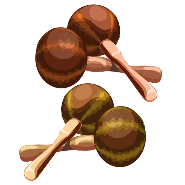 Muziekinstrument-maracas in cartoon stijl — Stockvector