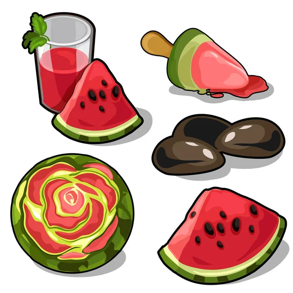 Delicious and healthy watermelon food set. Vector — Stock Vector