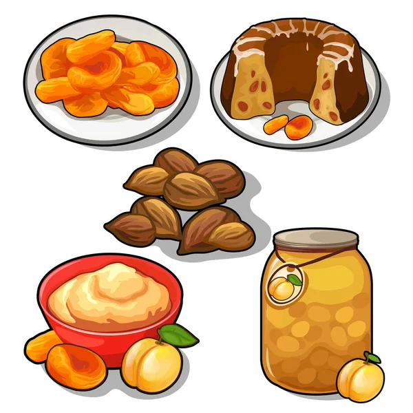 Läckra rätter av plommon, aprikos och mandel — Stock vektor