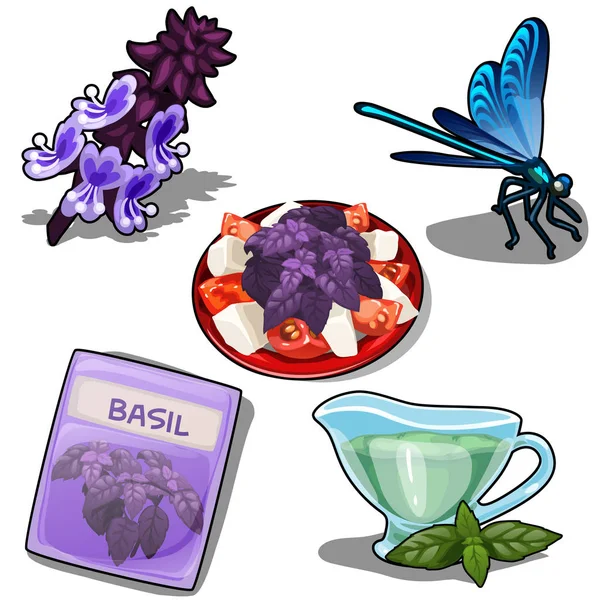 Ensemble de nourriture avec Basilic et libellule violette — Image vectorielle