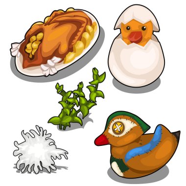 Pişmiş ördek, dolma oyuncak ve diğer nesneleri kümesi