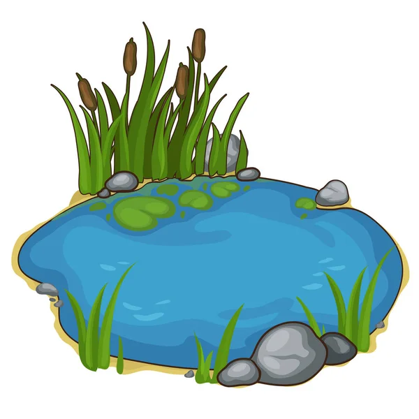 Pequeño lago con cañas. Vector en estilo de dibujos animados — Vector de stock