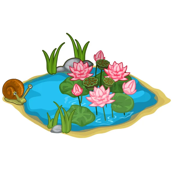 Hermoso lago vector con caracol, cañas y lirios — Vector de stock