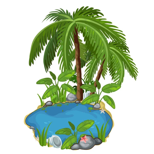 Estanque con palmeras, piedras, conchas marinas y arena alrededor — Vector de stock