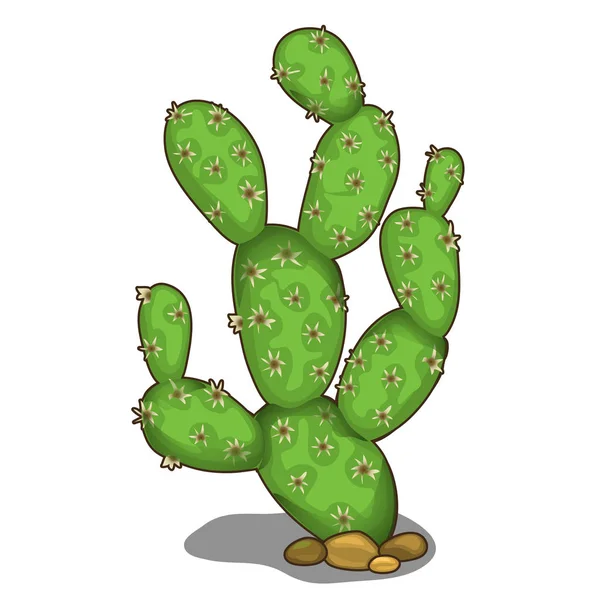 Grande cactus spinoso verde in stile cartone animato — Vettoriale Stock