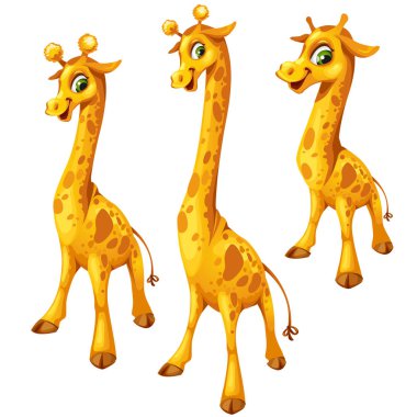 Üç zürafa beyaz zemin üzerine karikatür. Vektör