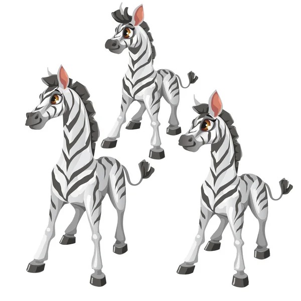 Rajzfilm Zebra fehér háttér. Vektor állat — Stock Vector