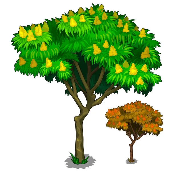 Blühender Baum mit Früchten und Herbstvariante — Stockvektor