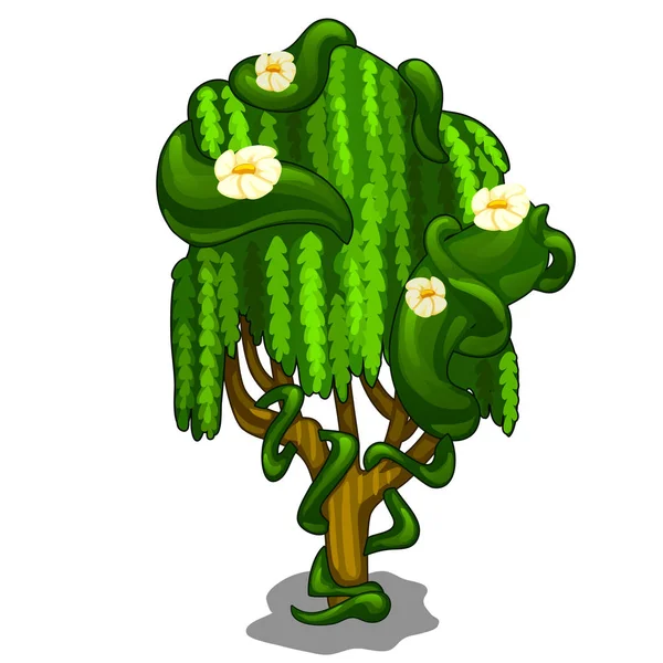 Εξωτικό δέντρο με υφέρπουσα φύλλα και άνθη — Διανυσματικό Αρχείο