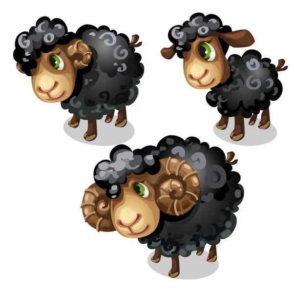 Białe owce. Wektor zwierzę w stylu cartoon — Wektor stockowy