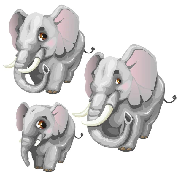 Trei elefant de desene animate vectoriale pe fundal alb — Vector de stoc