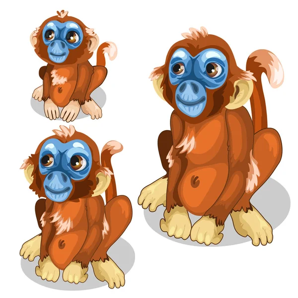 Brown funny monkey with blue face. Vector isolated — Stock Vector