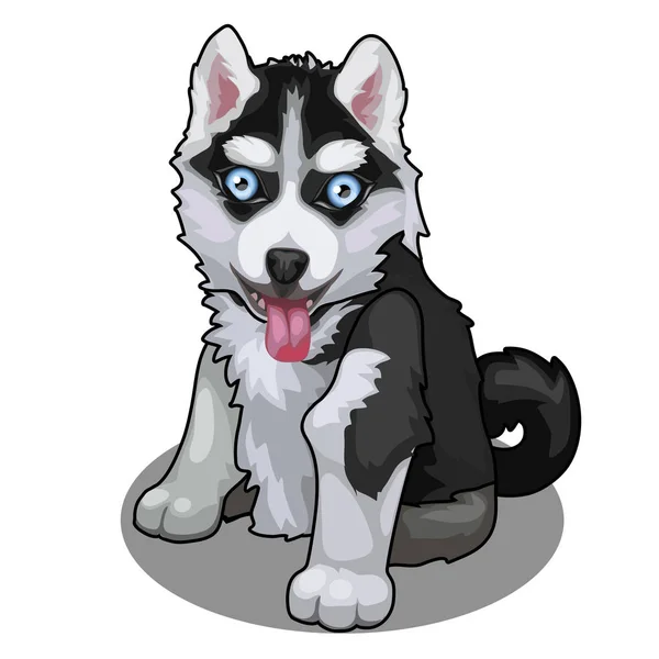 分離された青い目のハスキー犬の品種。ベクトル — ストックベクタ