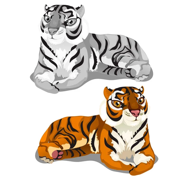 Tigre blanc rayé du Bengale et tigre brun. Vecteur — Image vectorielle