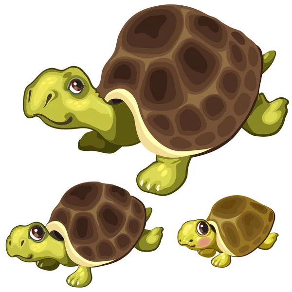 Cartoon-Schildkröte auf weißem Hintergrund. Vektortiere — Stockvektor