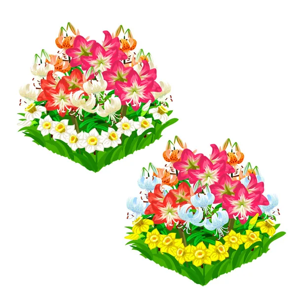 Dos hermosos macizos de flores. Vector aislado — Archivo Imágenes Vectoriales