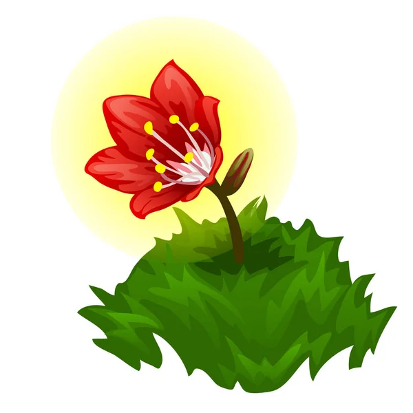 Wächst eine leuchtend rote magische Blume. Vektor — Stockvektor