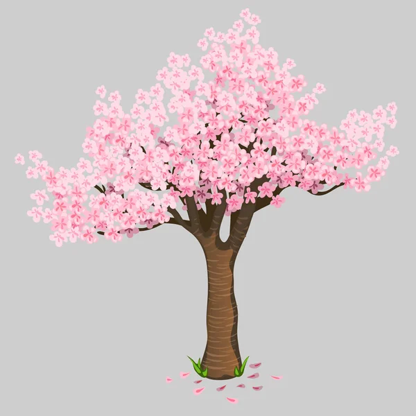 Belas flores de cereja de árvore. Sakura suave —  Vetores de Stock