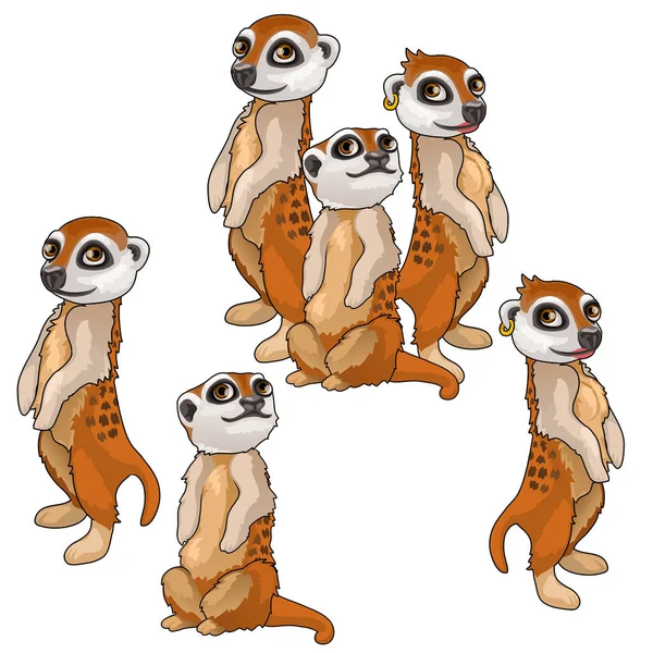 Roliga familj av meerkats. Vector djur isolerade — Stock vektor