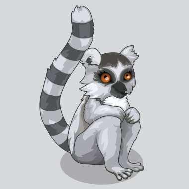 Şirin lemur oturur ve kahverengi gözleri dik dik bakıyor. Vektör