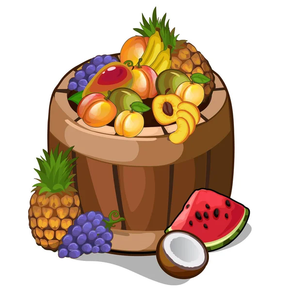 Barril com frutas tropicais que dão água na boca — Vetor de Stock