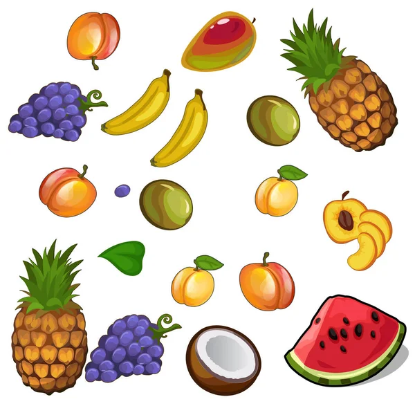 Set of appetites tropical fruites — Stock Vector