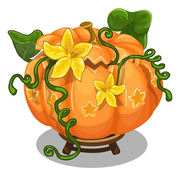 Calabaza grande madura con hojas verdes y flores — Vector de stock